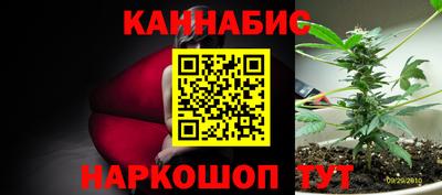 ALPHA PVP Тверь