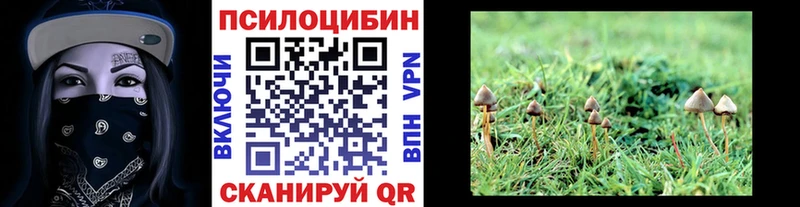 гидра   Пушкино  Псилоцибиновые грибы мицелий 