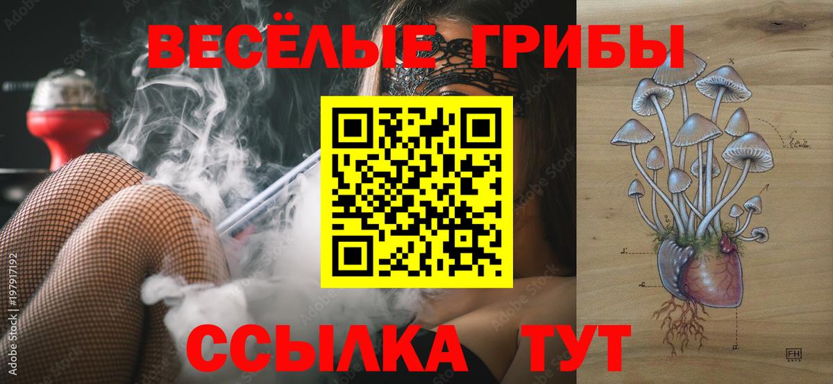 Псилоцибиновые грибы мухоморы  Вход с VPN  Пушкино 